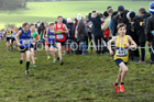 Boys under-13s 2019 British Athletics Inter Counties Cross Country, Prestwood Hall, Loughborough. Photo:  David T. Hewitson/Sports for All Pics